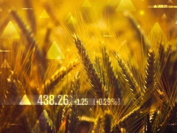 Commodities